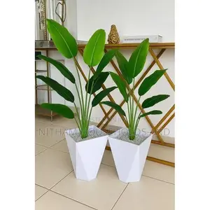 Real Touch Strelitizia Plant