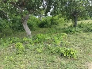 3.75 Acres for Sale in Tiwi Near Diani Beach