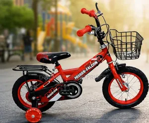 Premier Bmx Bicycle 12"