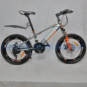 Hi-Roadsix Disc Brake Bicycle