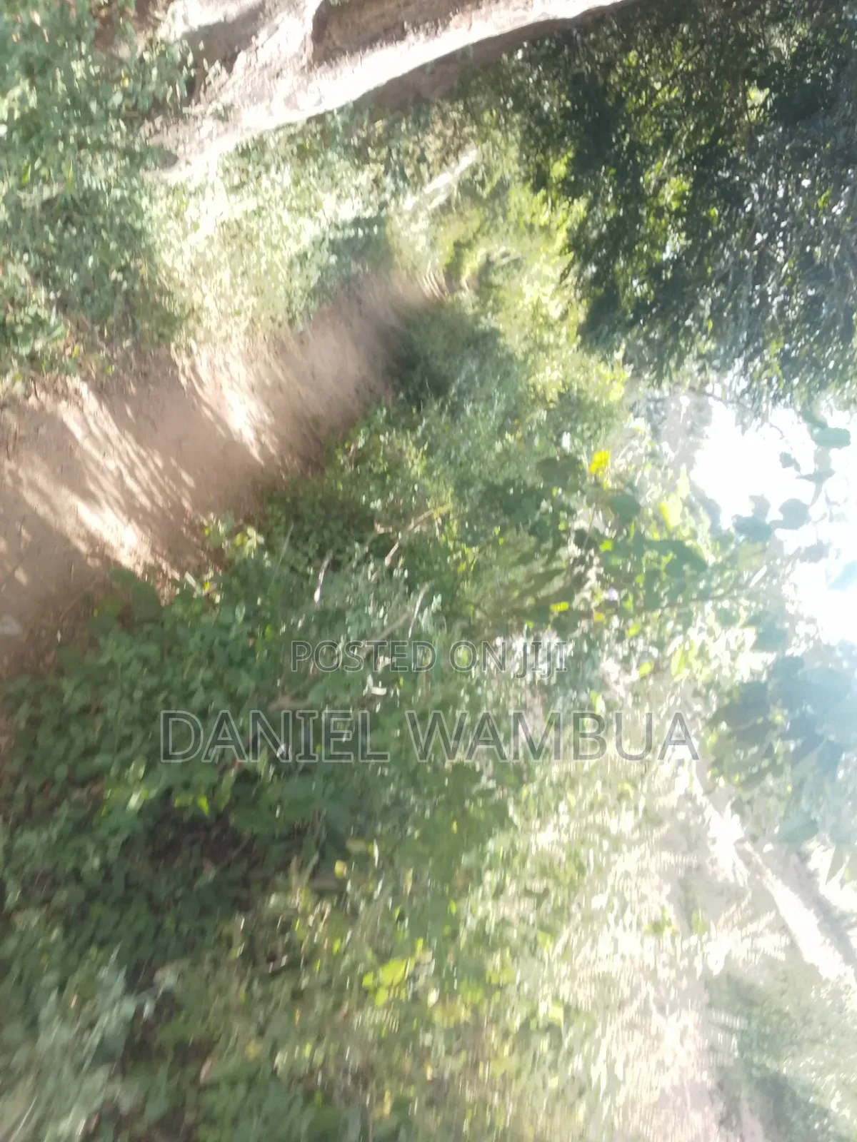 A Plot for Sell Am Looking for Customers