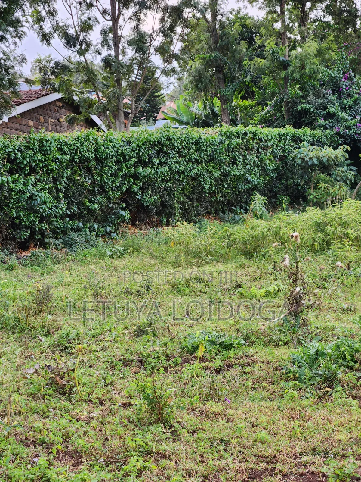 3⁄8(150x100) Acre Plots, Ngong-Oloolua