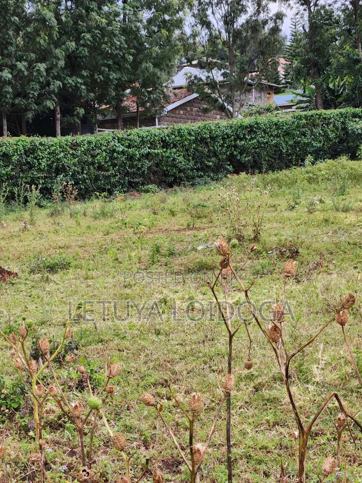3⁄8(150x100) Acre Plots, Ngong-Oloolua