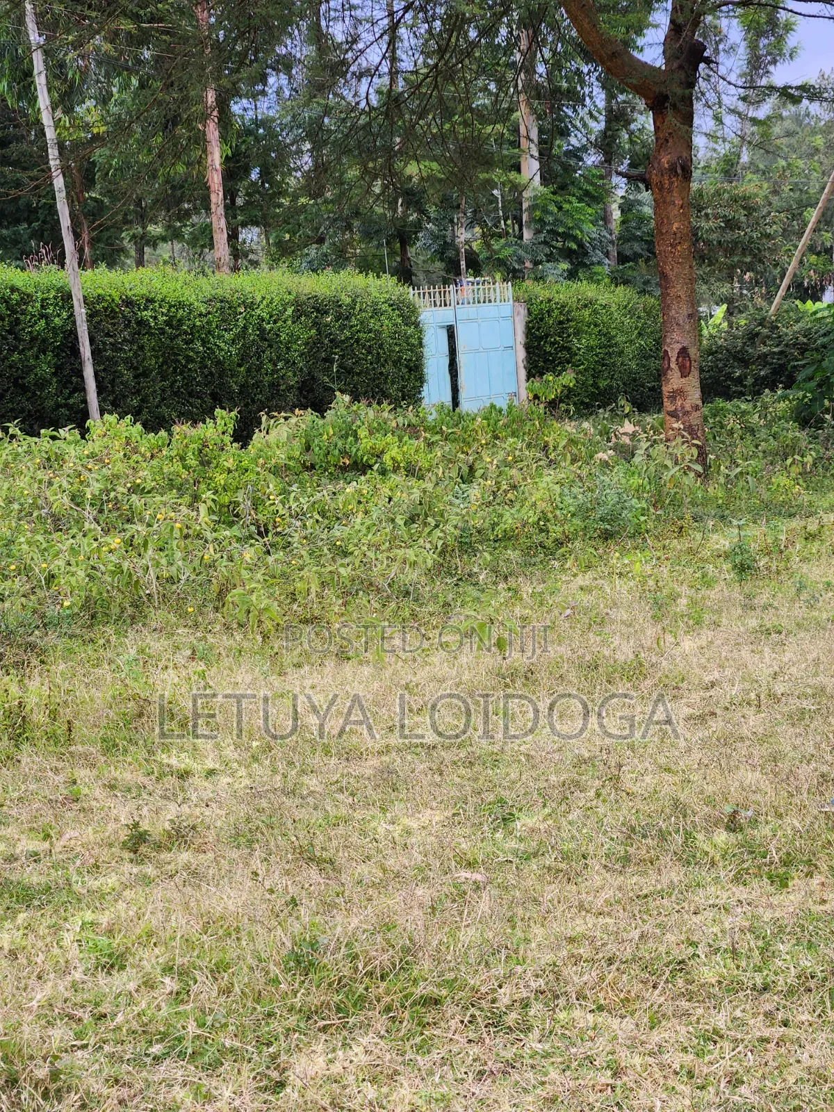 3⁄8(150x100) Acre Plots, Ngong-Oloolua