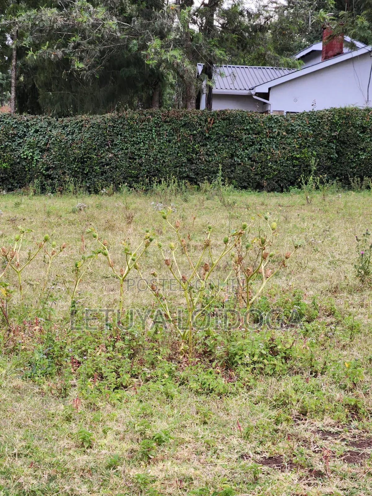 3⁄8(150x100) Acre Plots, Ngong-Oloolua