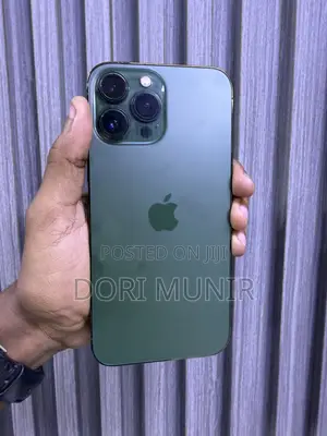 Apple iPhone 13 Pro Max 256 GB Green