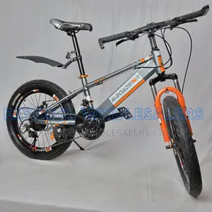 Grey Orange Adventure Bike 20"