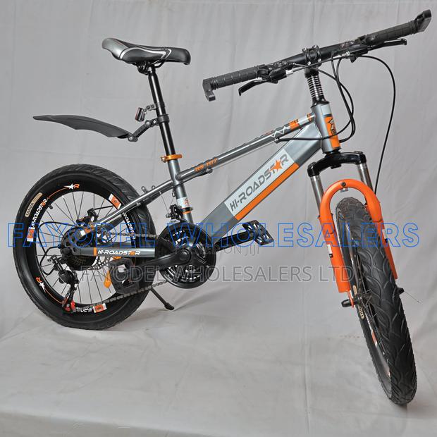 Grey Orange Adventure Bike 20" - main view