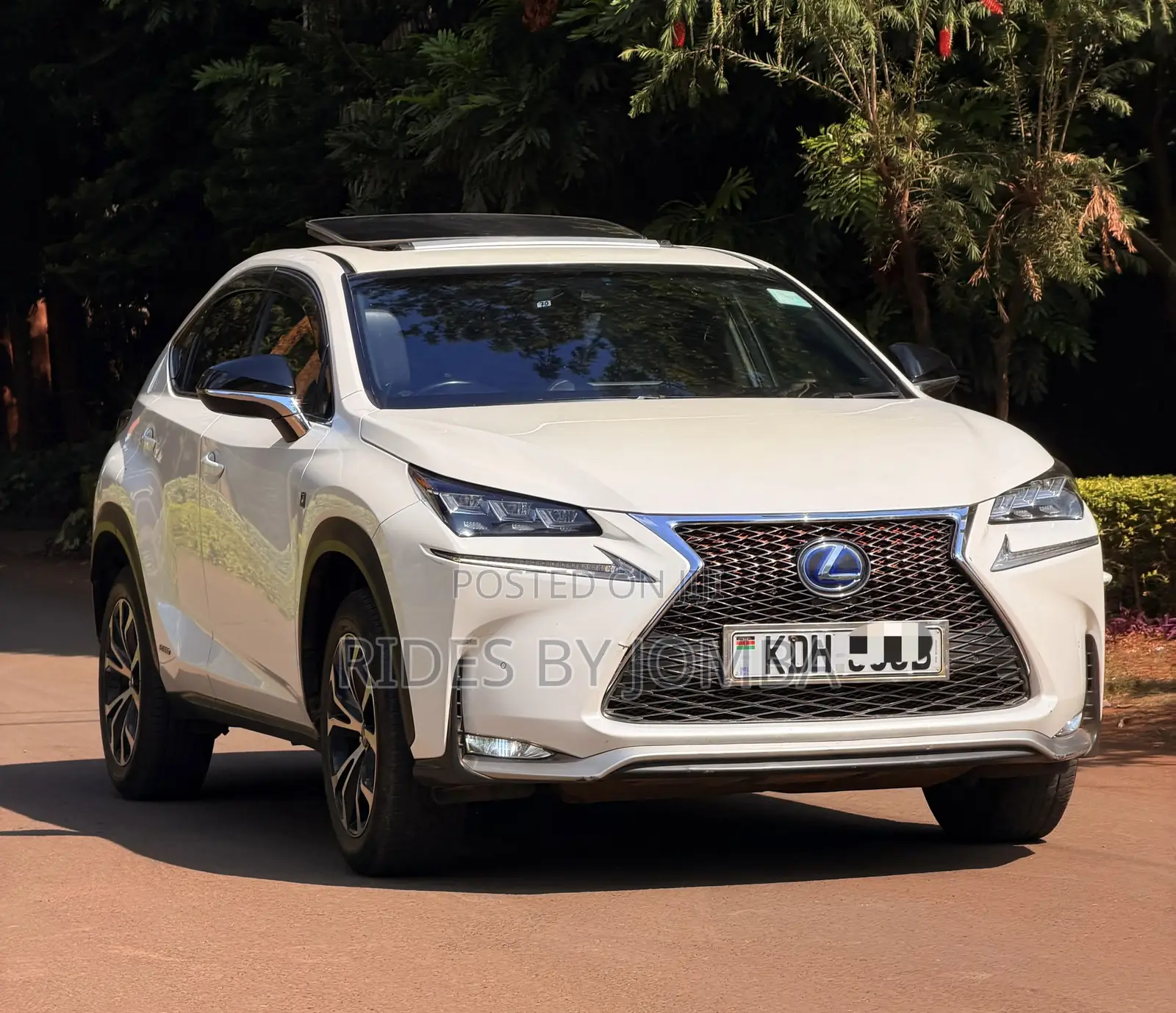 Lexus NX 2015 White