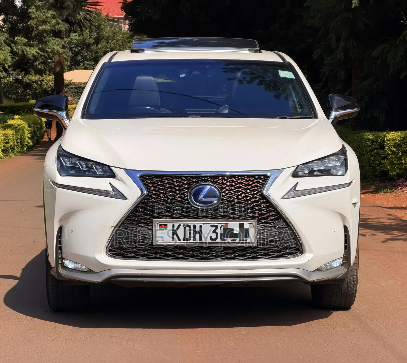 Lexus NX 2015 White