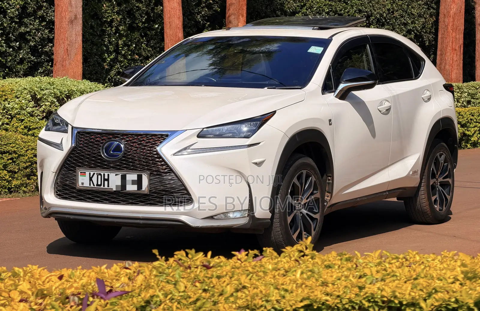 Lexus NX 2015 White