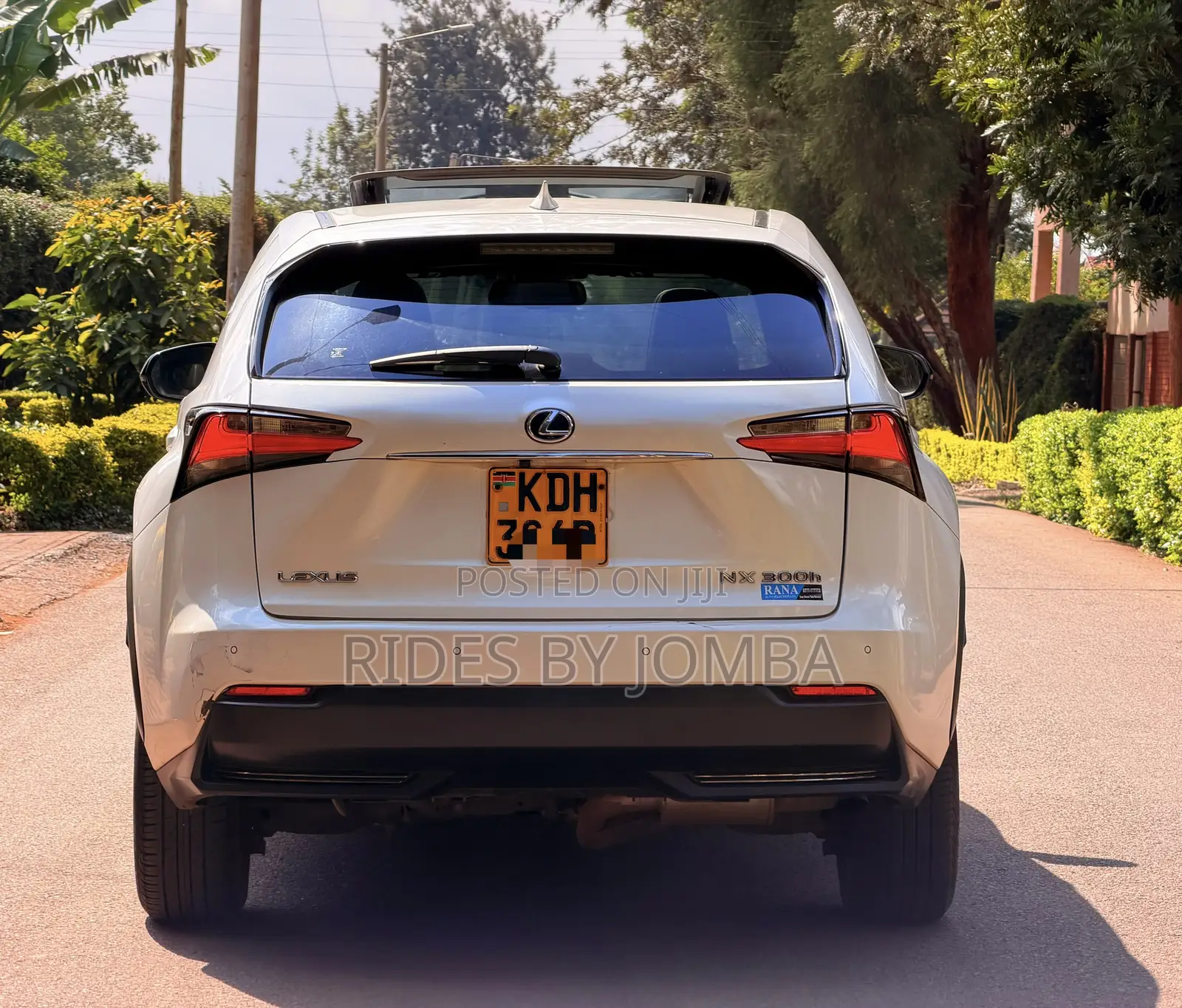 Lexus NX 2015 White