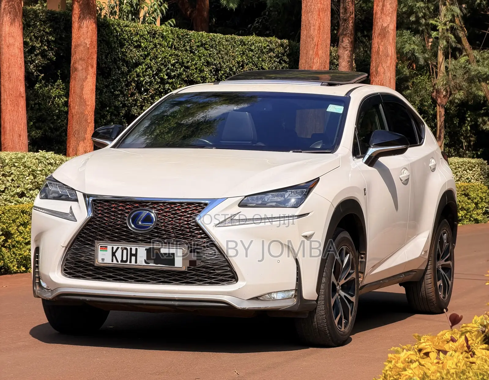 Lexus NX 2015 White