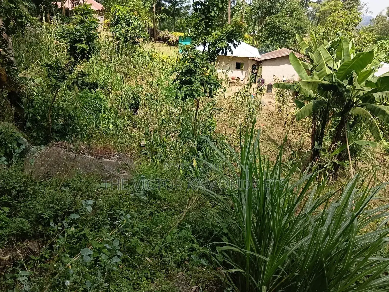 Land for Sell