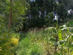 Land for Sell
