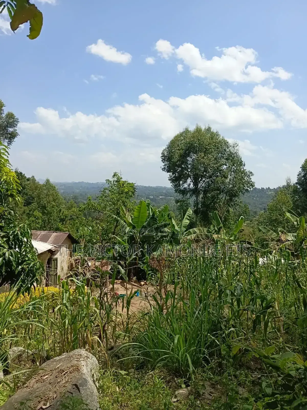 Land for Sell