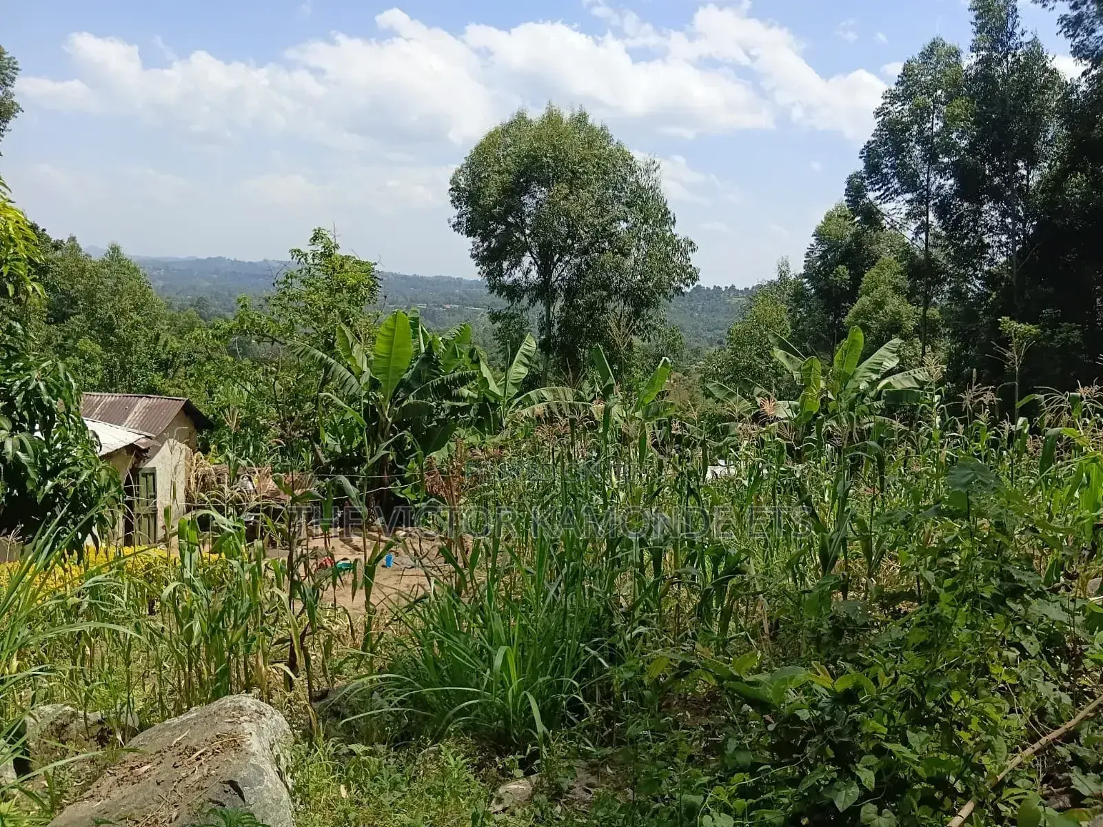 Land for Sell