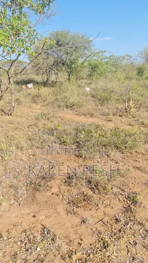 One Acre on Sale.