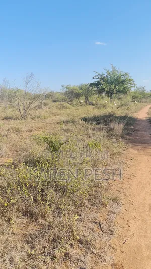 One Acre on Sale.