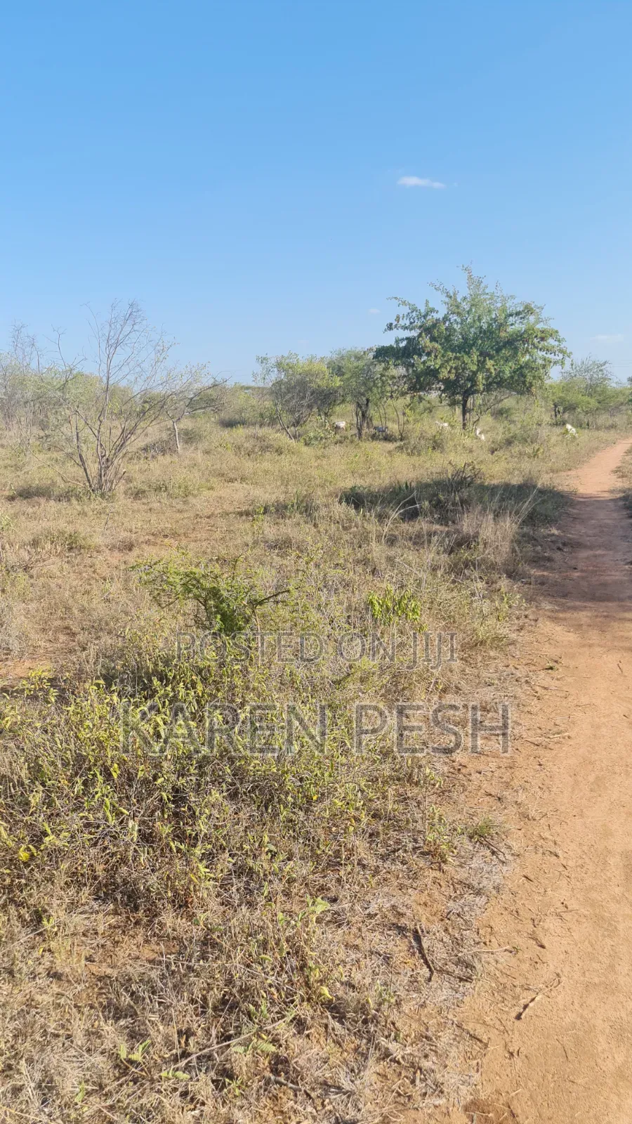 One Acre on Sale.