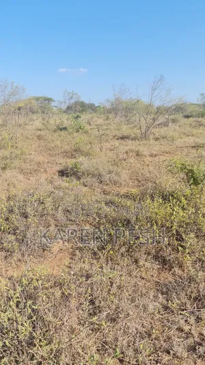 One Acre on Sale.