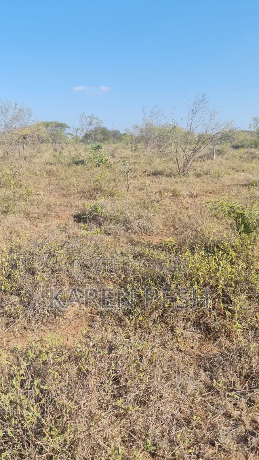One Acre on Sale.