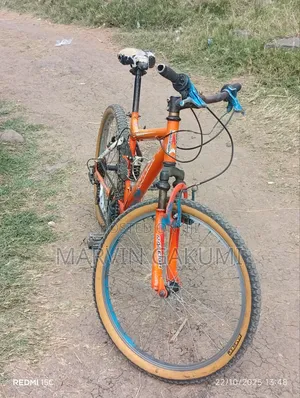 Raliegh Mountain Bike