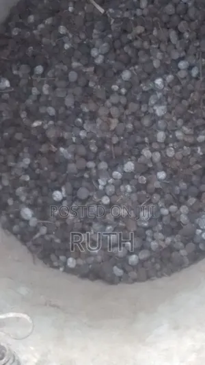 Rabbit Urine