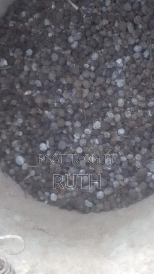 Rabbit Urine - main view