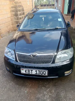 Toyota Corolla Fielder 2007 Black