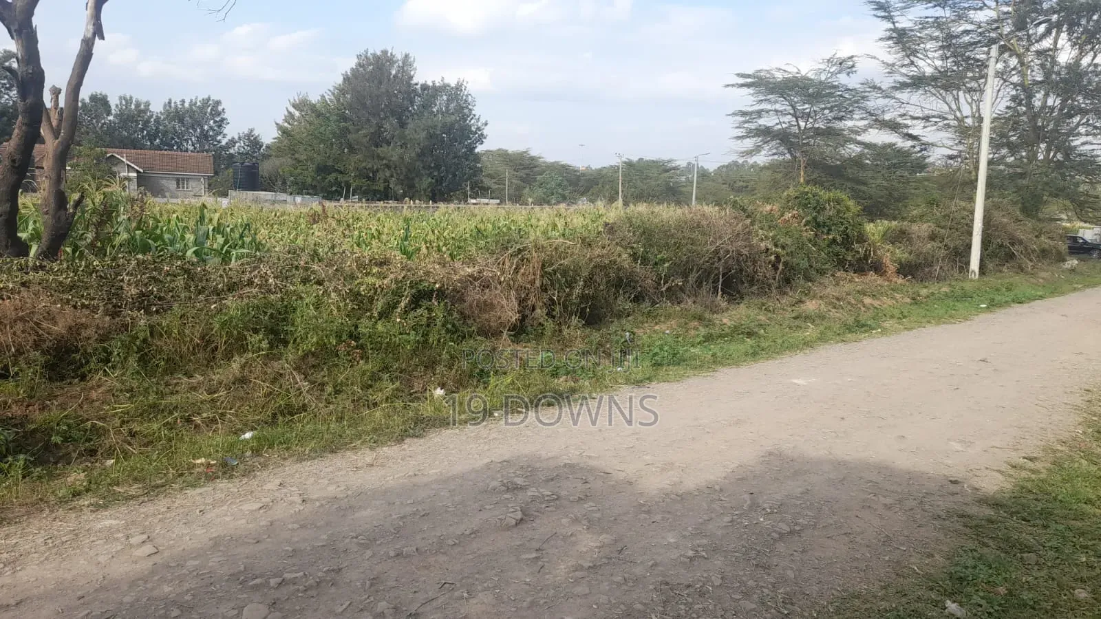 Ruai Mawe Mbili
