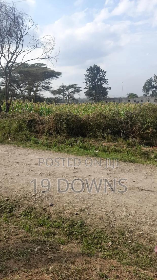 Ruai Mawe Mbili - thumbnail 11