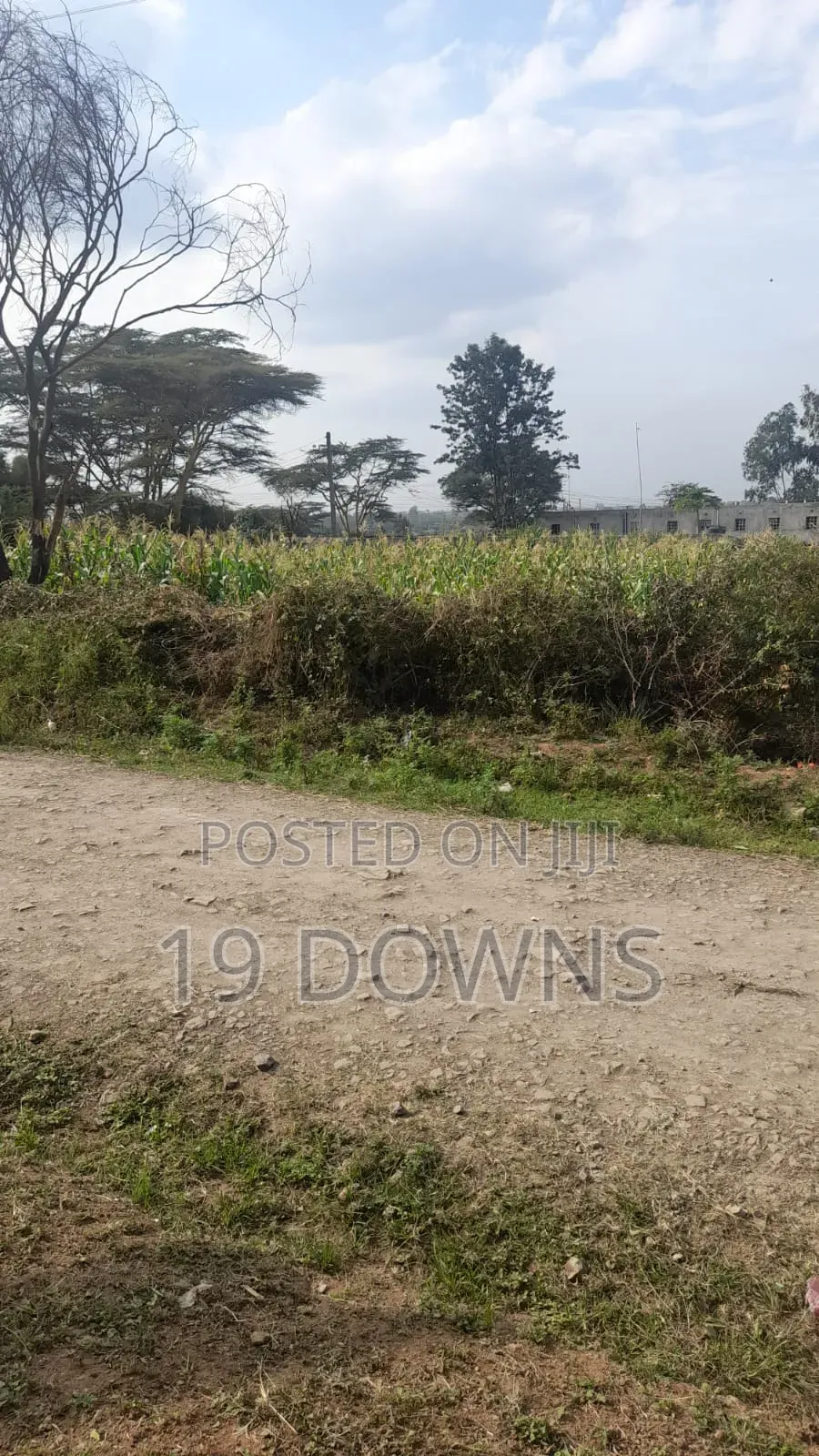 Ruai Mawe Mbili