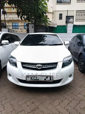 Toyota Corolla Fielder 2010 White