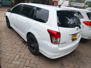 Toyota Corolla Fielder 2010 White
