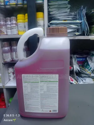 Undertaker Termiticide 480 Ec 5 Litres