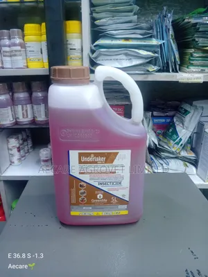 Undertaker Termiticide 480 Ec 5 Litres