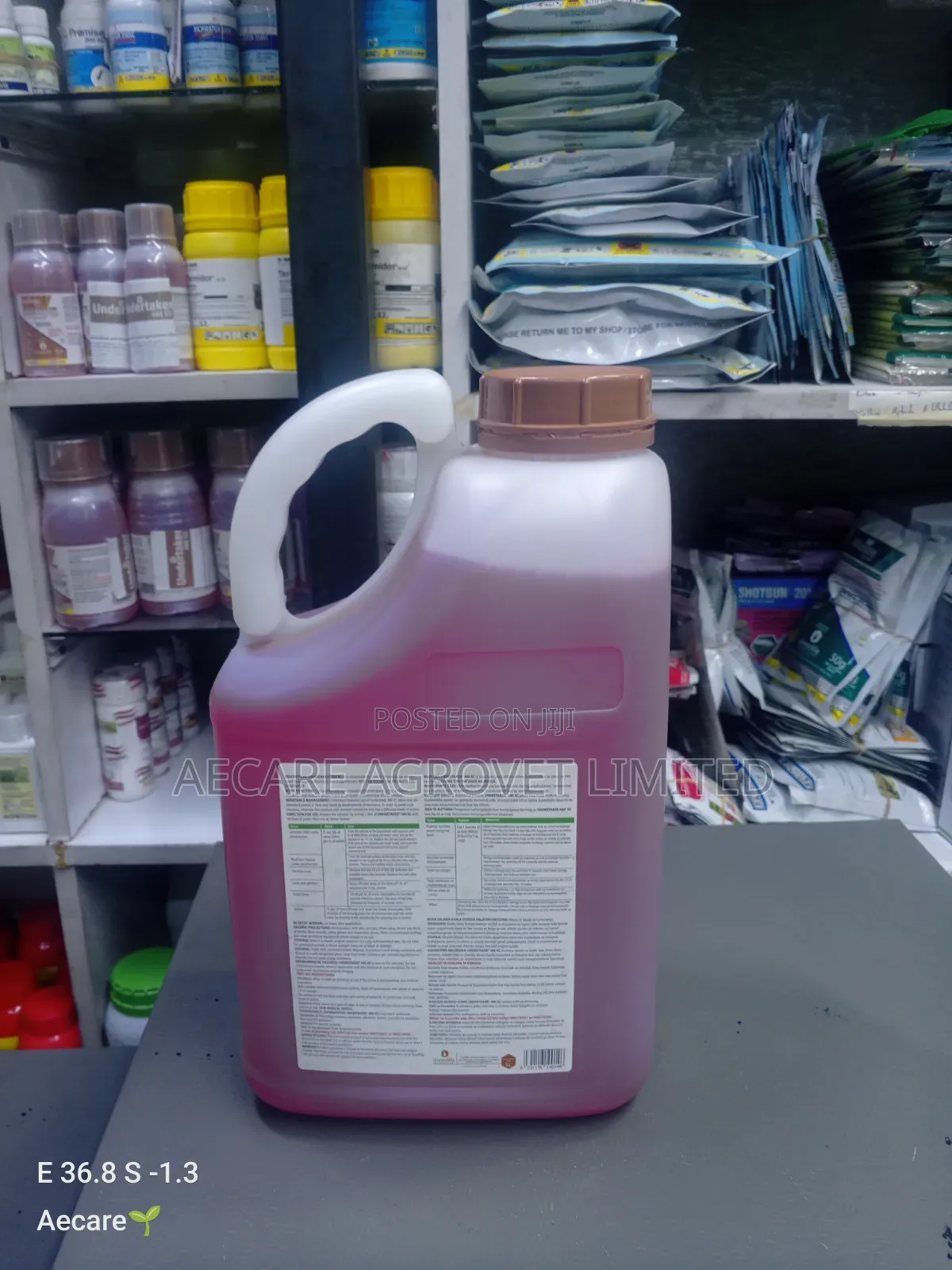 Undertaker Termiticide 480 Ec 5 Litres