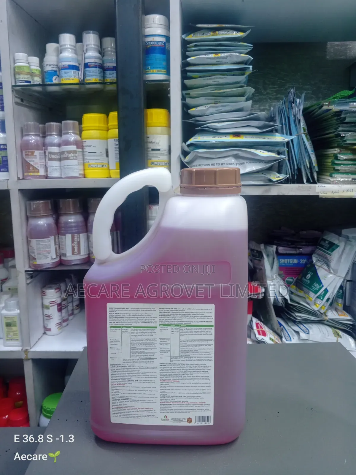 Undertaker Termiticide 480 Ec 5 Litres