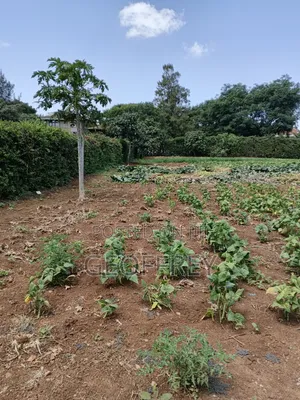 1 Acre for Sale in Kasarani Roysambu