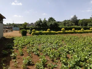 1 Acre for Sale in Kasarani Roysambu