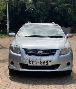Toyota Corolla Fielder 2009 Silver