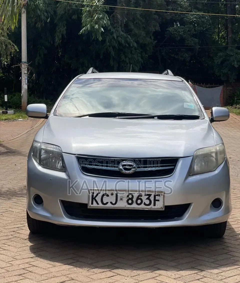 Toyota Corolla Fielder 2009 Silver