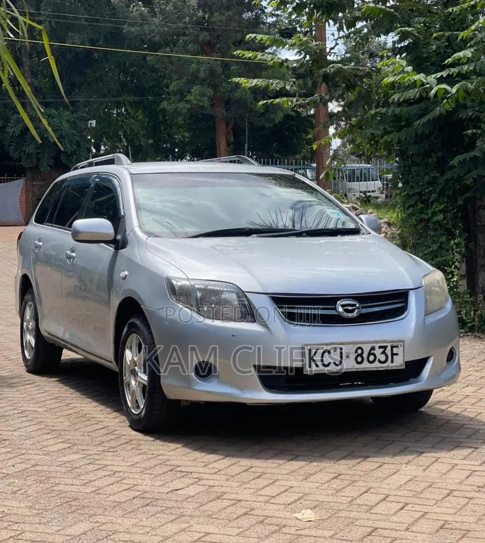 Toyota Corolla Fielder 2009 Silver
