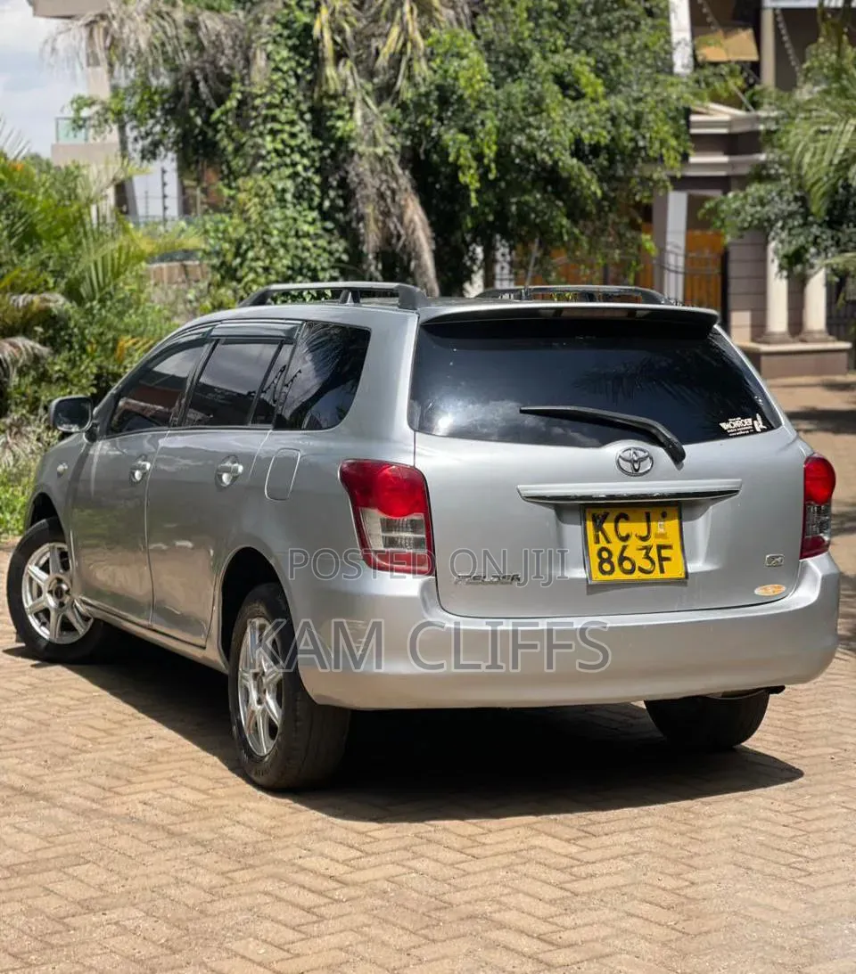 Toyota Corolla Fielder 2009 Silver