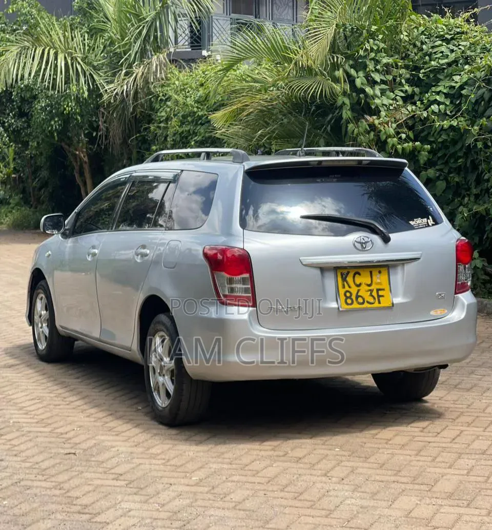 Toyota Corolla Fielder 2009 Silver