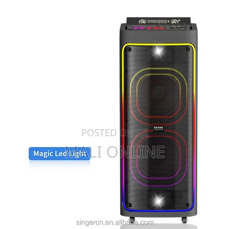 Party Speaker Woofer 2400w Party Light With Two Wireles Mics