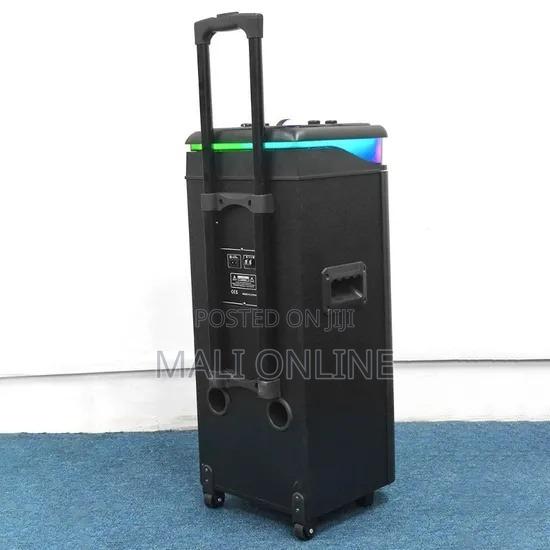20000w Portable Party Speaker Woofer With Two Wireless Mics
