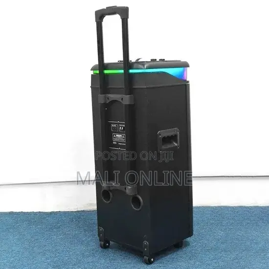 20000w Portable Party Speaker Woofer With Two Wireless Mics