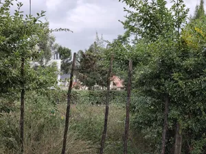 Eighth Acre Plot for Sale in Ngong, Matasia in a Residential Drive